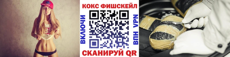 хочу наркоту  Йошкар-Ола  COCAIN Fish Scale 