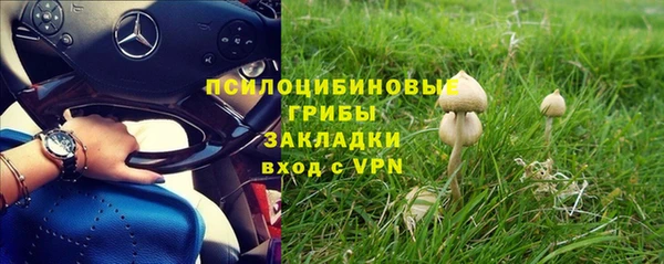 МДПВ Алексин