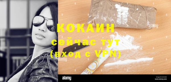 прущие крисы Алексеевка